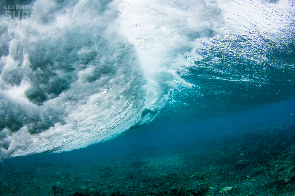 Sarah Lee’s Underwater Photography Tips