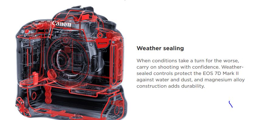 Photo from the Canon website, showing the gaskets and weather selaing features of the new 7D mark II